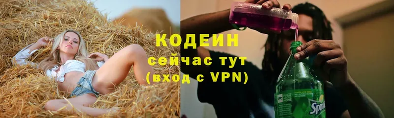 Codein напиток Lean (лин)  продажа наркотиков  Камышин 